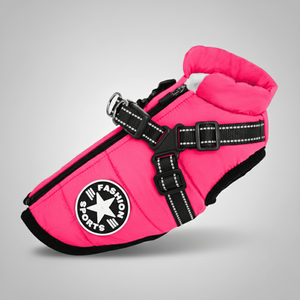 Doudoune pour chien chaud et confortable - Lapattedorée