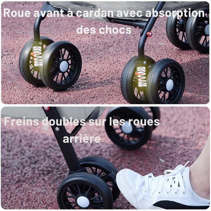 Poussette pour chien tout terrain - Lapattedorée