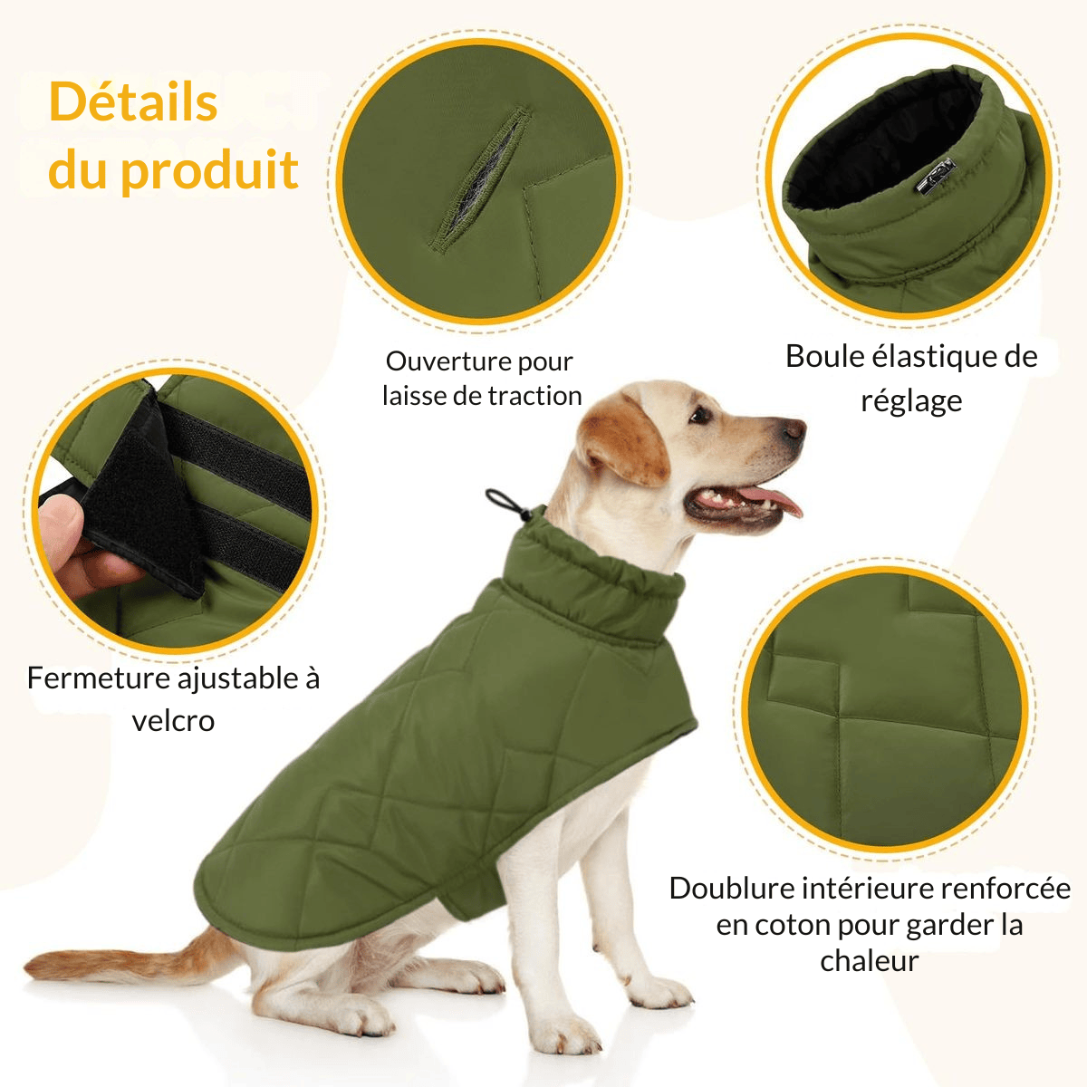Manteau pour chien - Lapattedorée