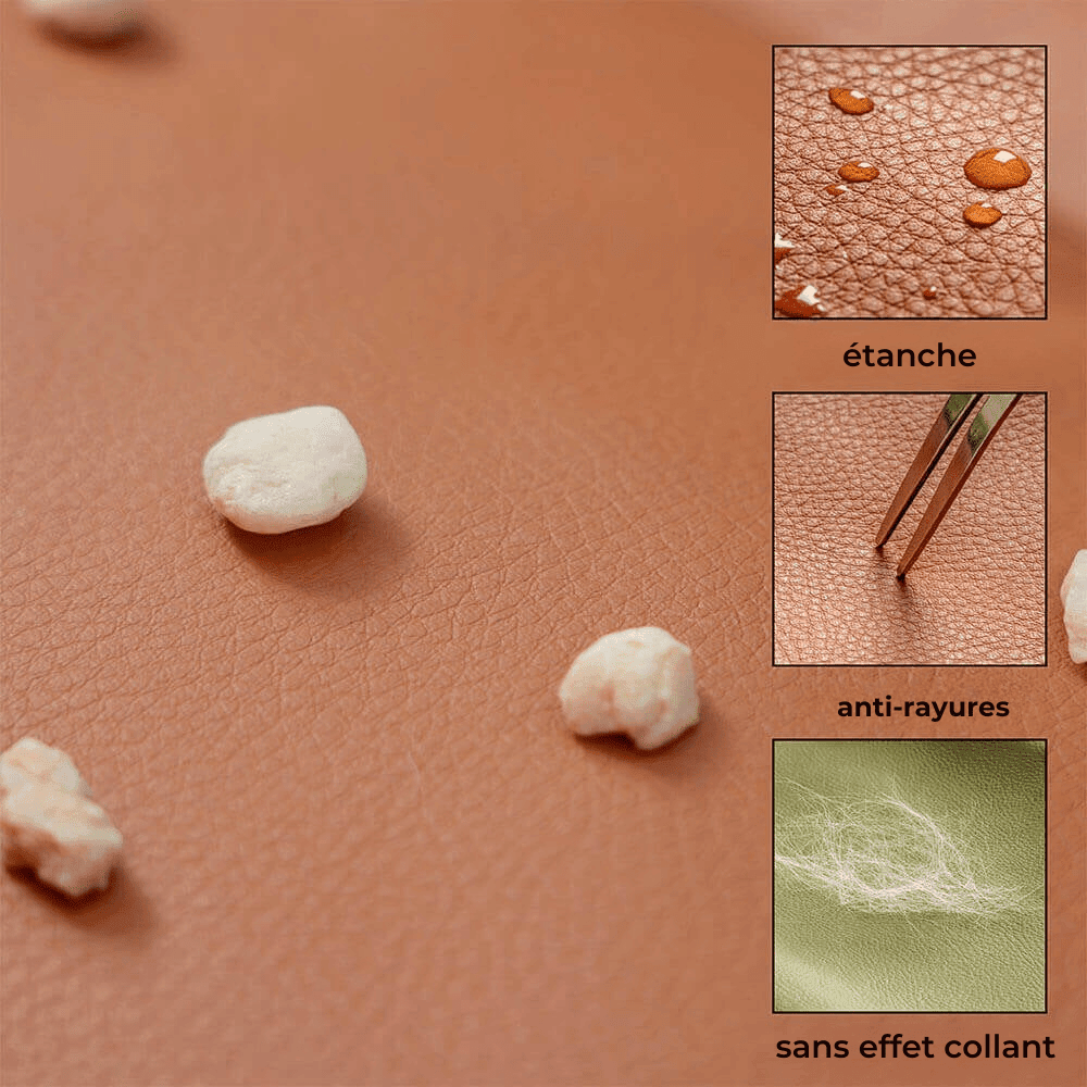 Siège auto pour très grand chien - Lapattedorée