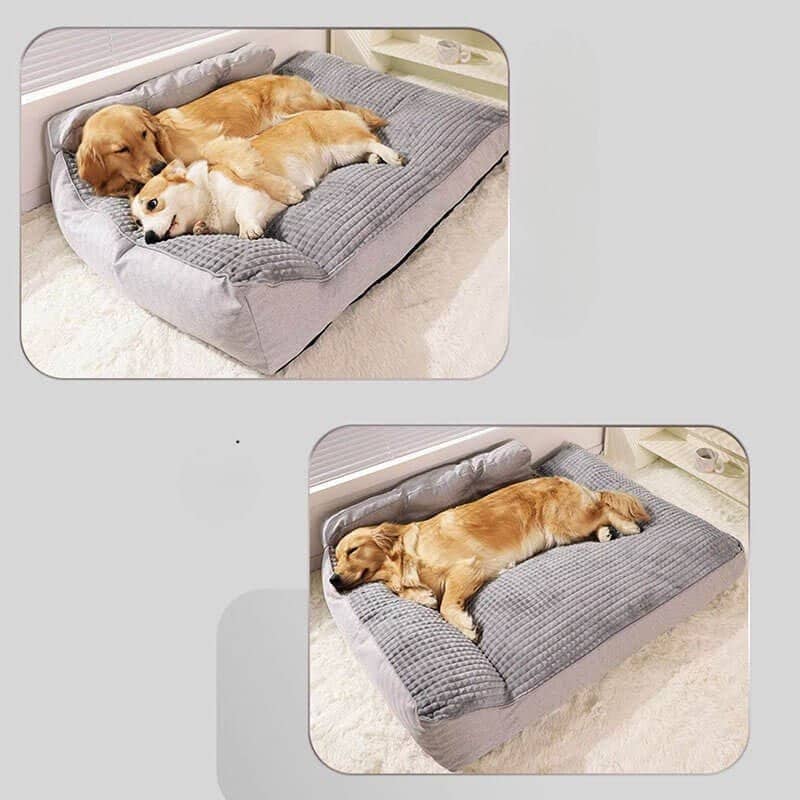Coussin pour chien épais orthopédique- Lapattedorée
