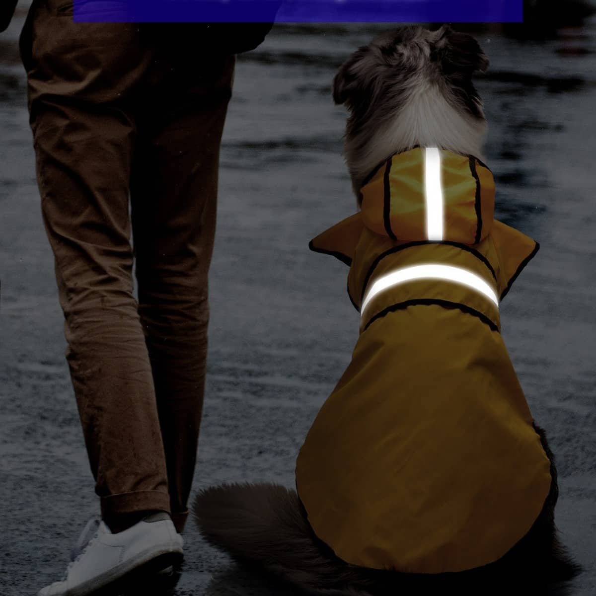 Manteau pour chien réfléchissant - Lapattedorée