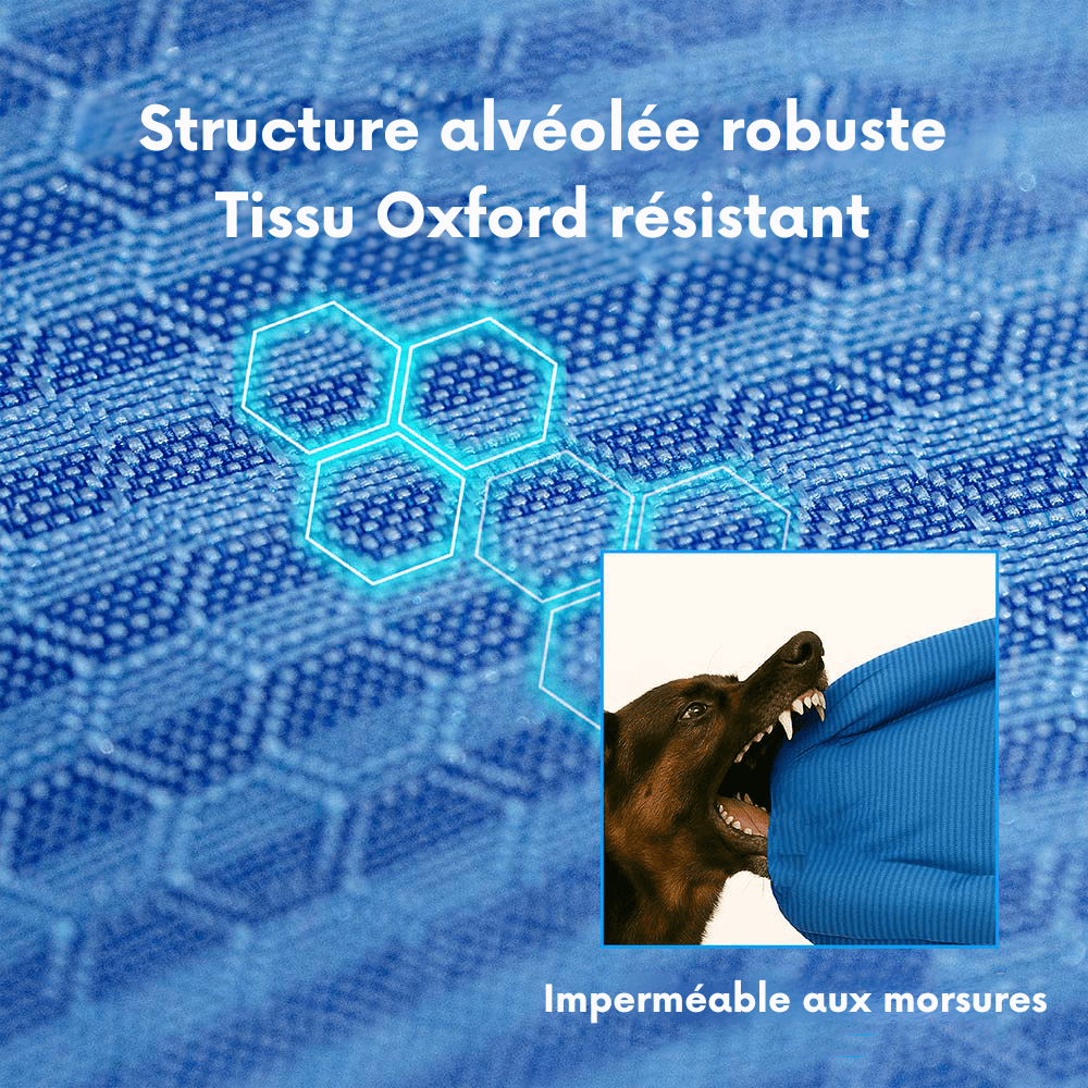 Panier orthopédique pour chien Imperméable - Lapattedorée