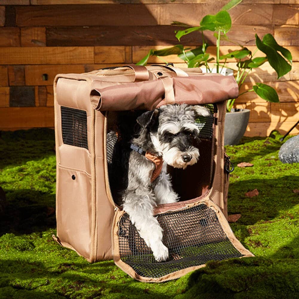 Sac à dos pour chien de voyage - Lapattedorée