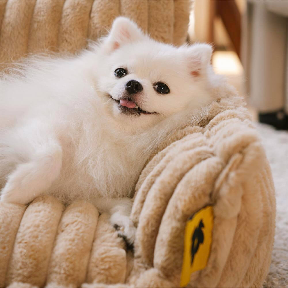 Grand lit orthopédique lavable et moelleux pour chien