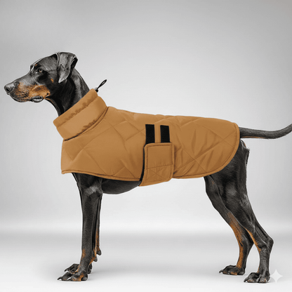 Manteau pour chien - Lapattedorée