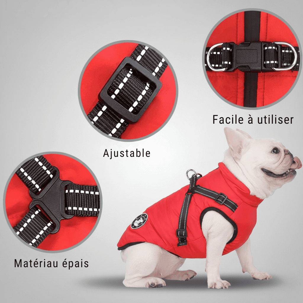 Doudoune pour chien chaud et confortable - Lapattedorée