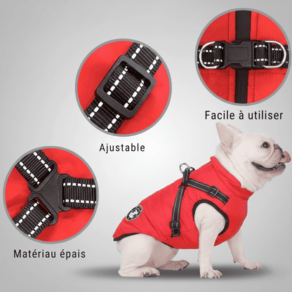 Doudoune pour chien chaud et confortable - Lapattedorée