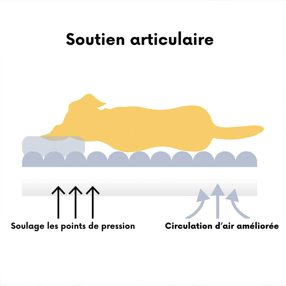 Grand lit orthopédique lavable et moelleux pour chien