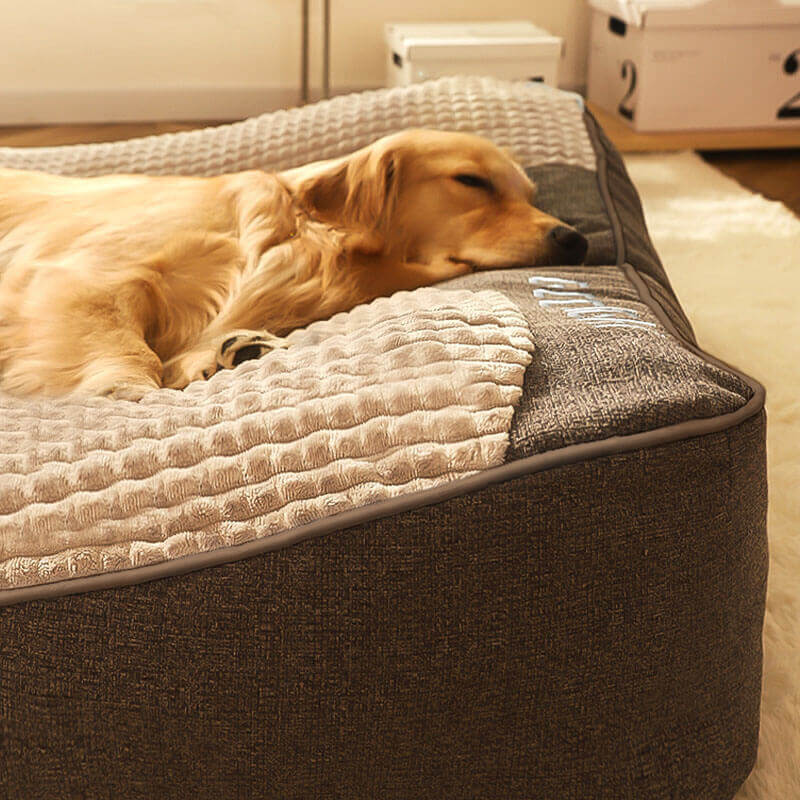 Grand lit coussin épais anti-rayures pour chien avec protection de la colonne vertébrale