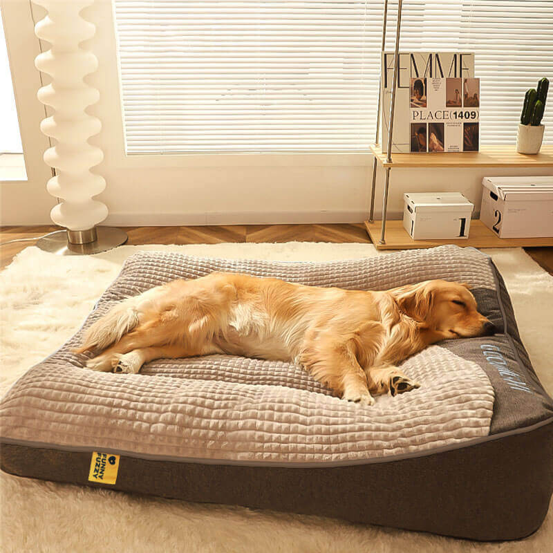 Grand lit coussin épais anti-rayures pour chien avec protection de la colonne vertébrale