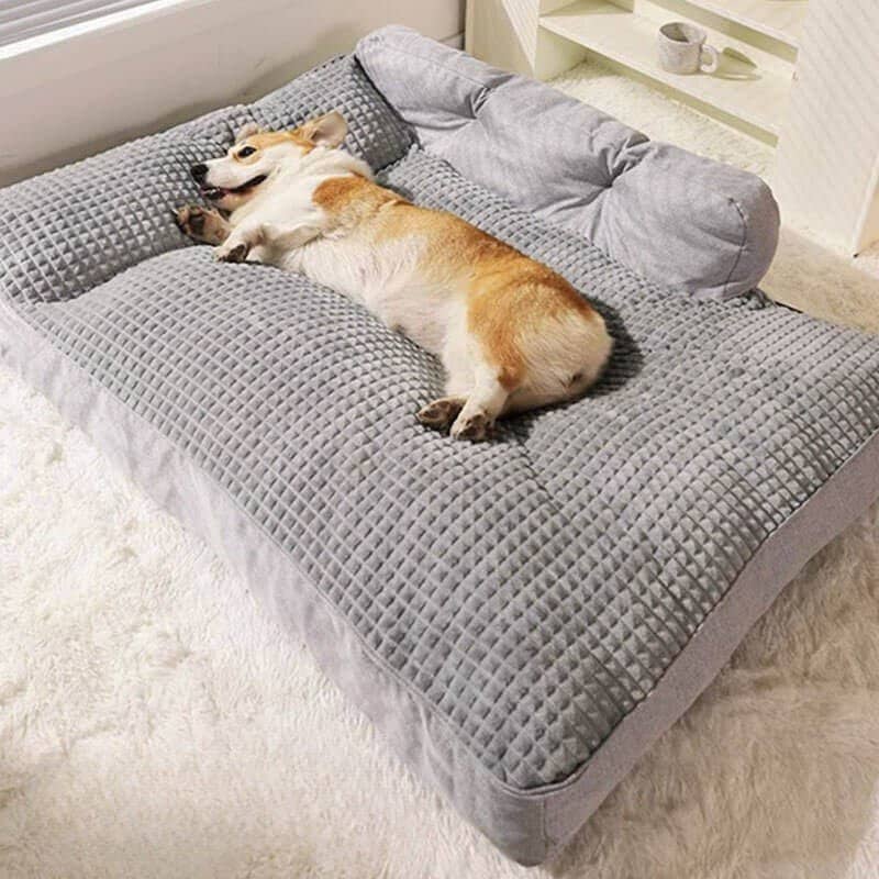 Coussin pour chien épais orthopédique- Lapattedorée