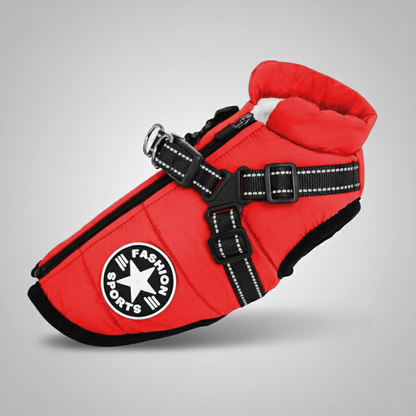 Doudoune pour chien chaud et confortable - Lapattedorée