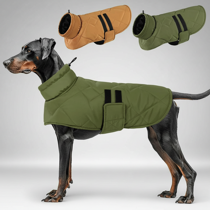 Manteau pour chien - Lapattedorée