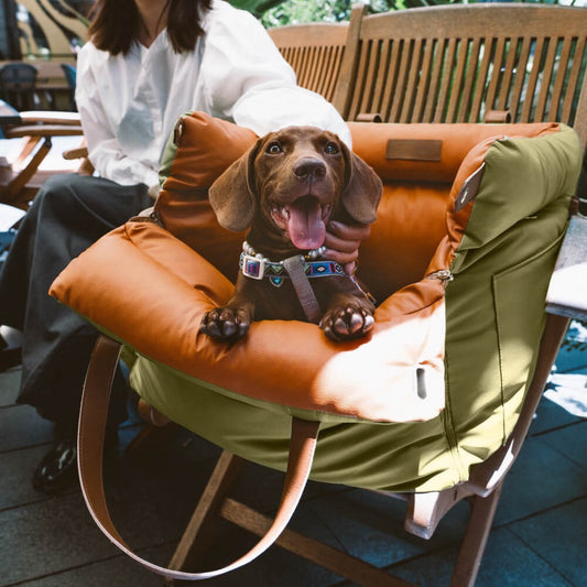 panier pour chien en similicuir pour siège auto