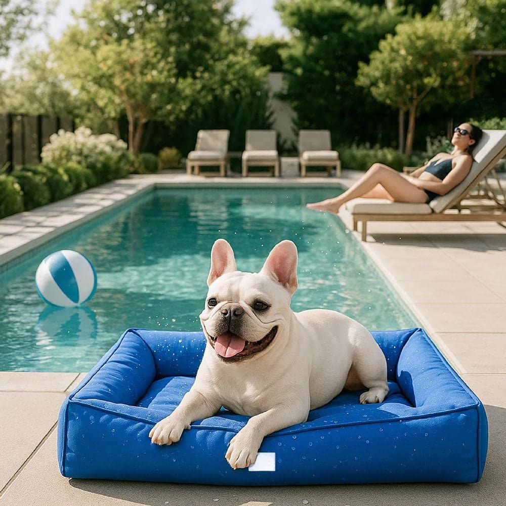 Panier orthopédique pour chien Imperméable - Lapattedorée