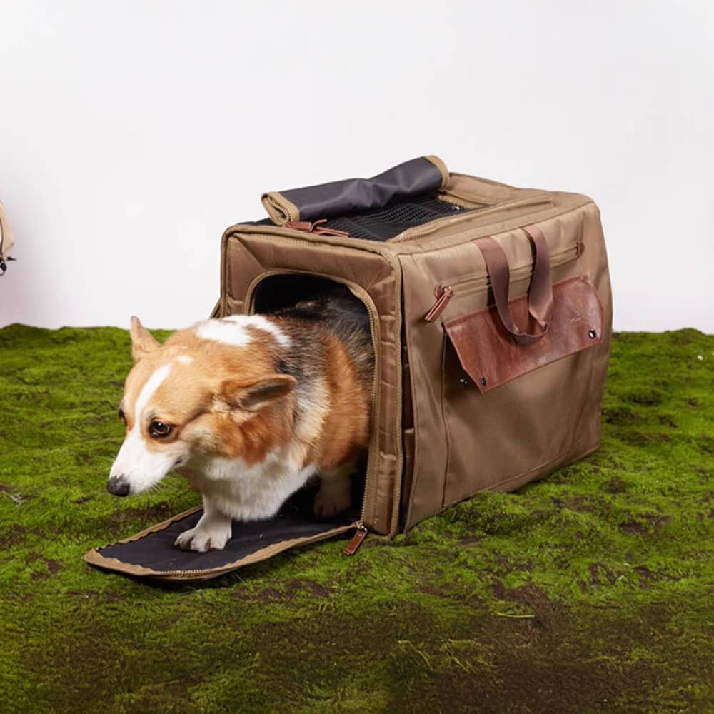 Sac à dos pour chien de voyage - Lapattedorée