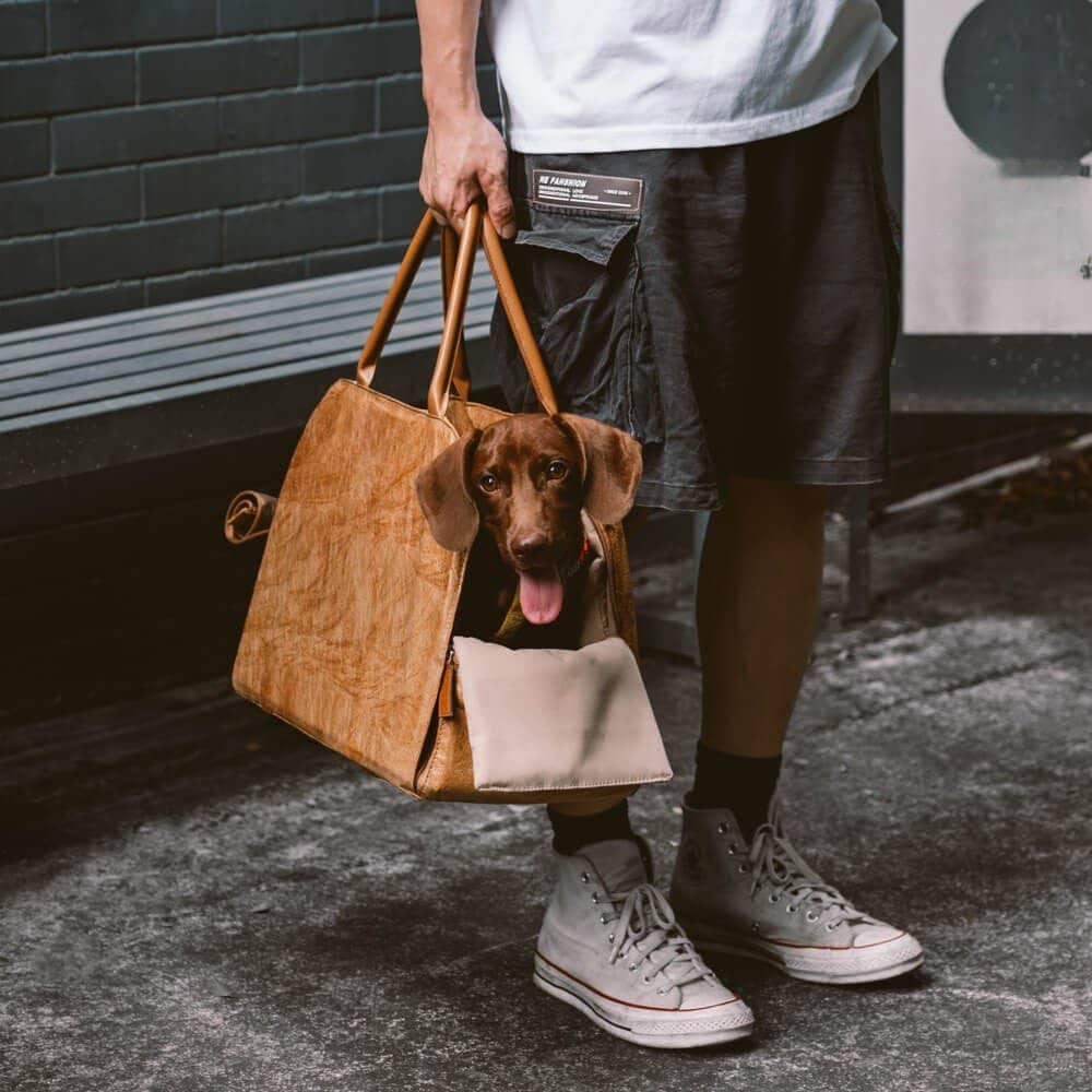 Sac de transport pour chien - Lapattedorée