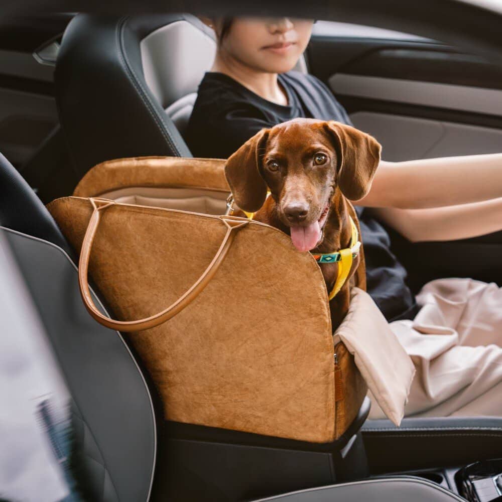 Sac de transport pour chien - Lapattedorée