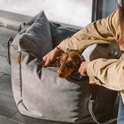 Siège auto pour chien moelleux - Lapattedorée